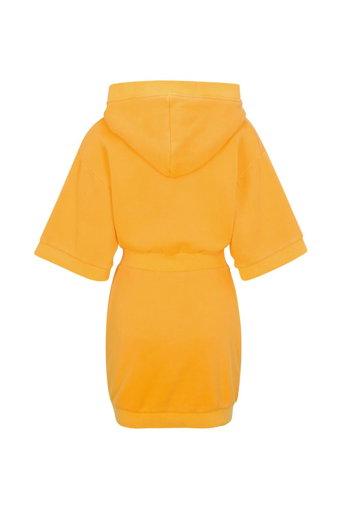 Canary Sora Dress back
