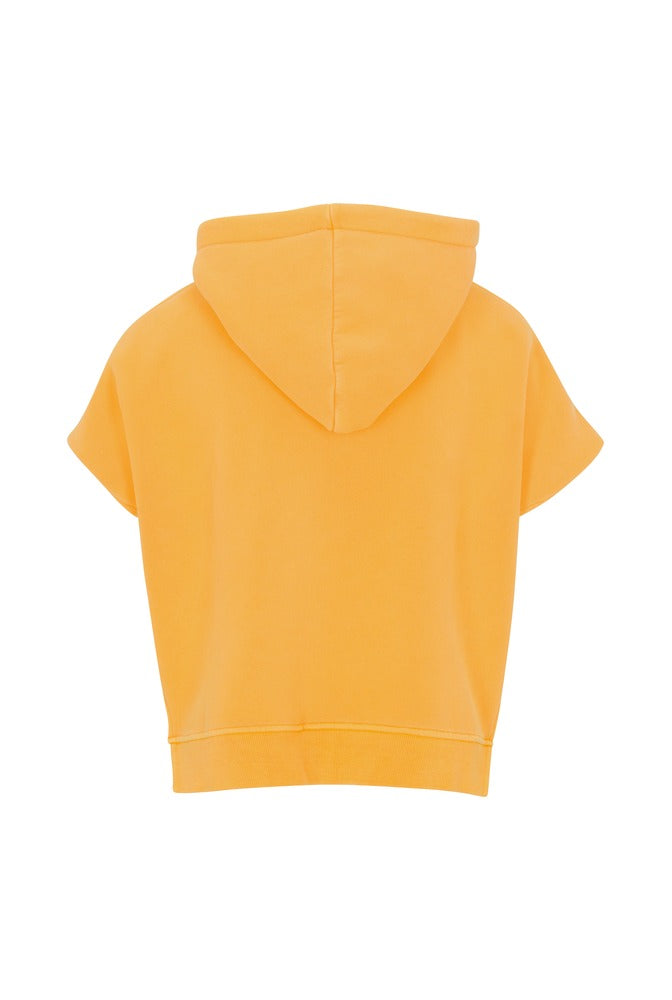 Canary Edge Cut Top back